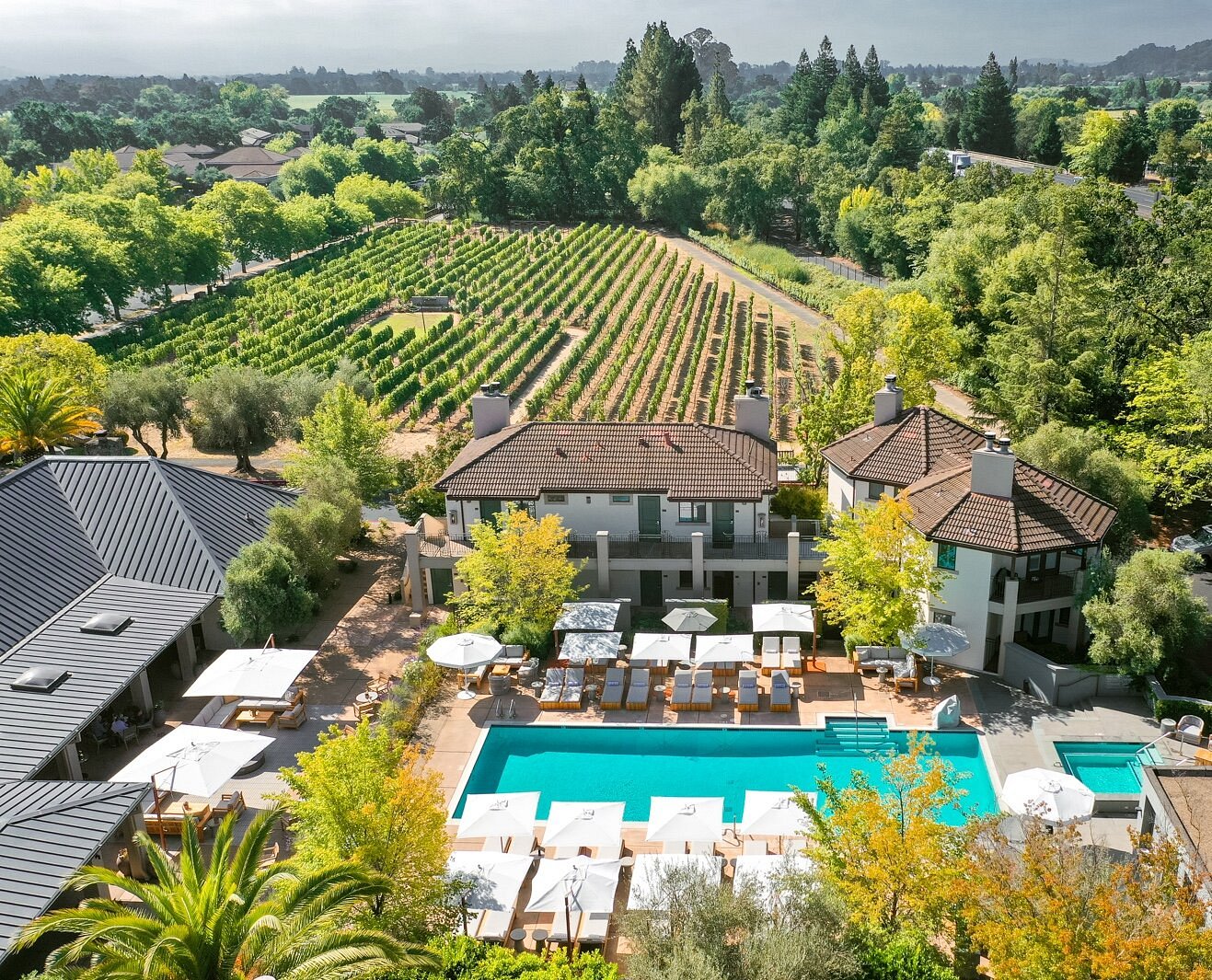 The Estate at Yountville pool and vineyard viewed from above